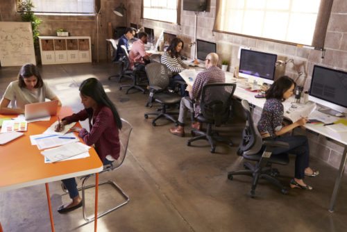 People working in a modern office after office removals