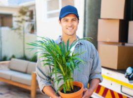 Mover carrying plant - part of various moving services offered