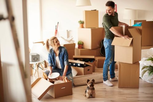 Young couple packing and moving with their pet dog
