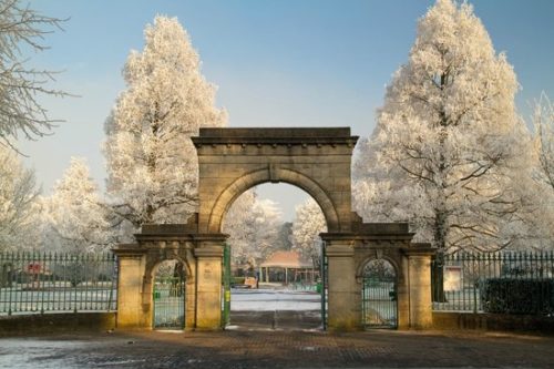 Limerick park in the winter - man with a van Limerick