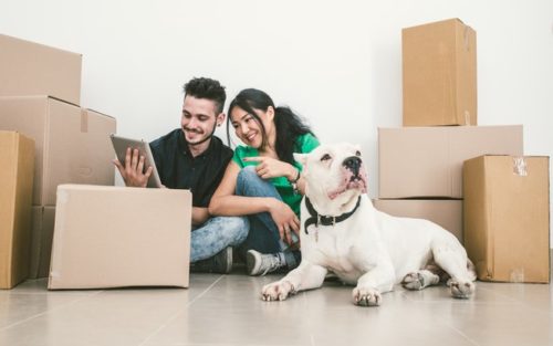 Couple looking for moving company quotes - moving house with a dog